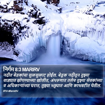 निर्गम 8:3 MARIRV Bible Verse Image