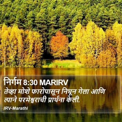 निर्गम 8:30 MARIRV Bible Verse Image