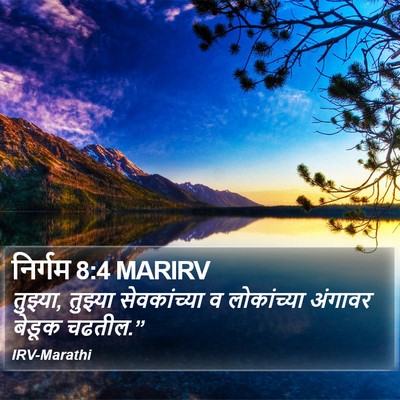 निर्गम 8:4 MARIRV Bible Verse Image