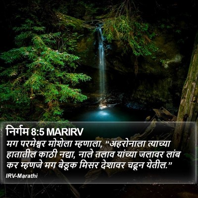 निर्गम 8:5 MARIRV Bible Verse Image
