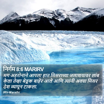 निर्गम 8:6 MARIRV Bible Verse Image