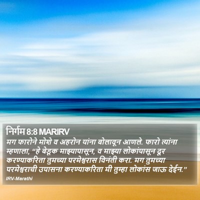 निर्गम 8:8 MARIRV Bible Verse Image