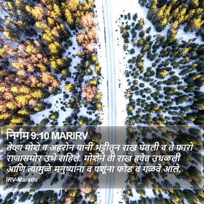 निर्गम 9:10 MARIRV Bible Verse Image