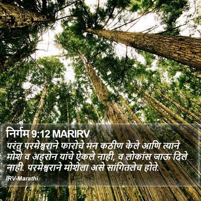 निर्गम 9:12 MARIRV Bible Verse Image
