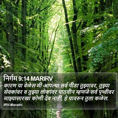 निर्गम 9:14 MARIRV Bible Verse Image