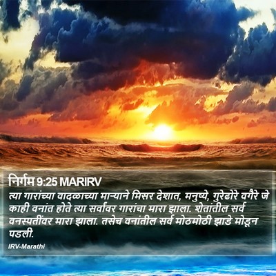 निर्गम 9:25 MARIRV Bible Verse Image