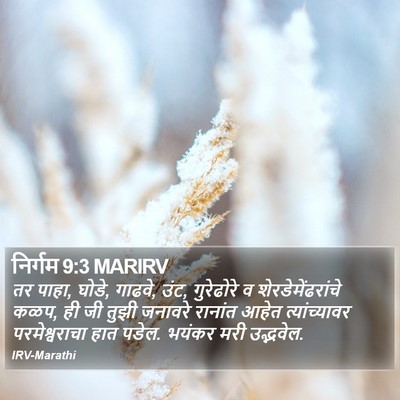 निर्गम 9:3 MARIRV Bible Verse Image