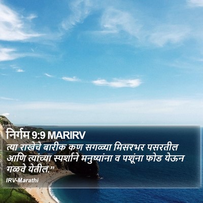 निर्गम 9:9 MARIRV Bible Verse Image