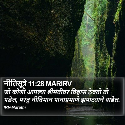 नीतिसूत्रे 11:28 MARIRV Bible Verse Image
