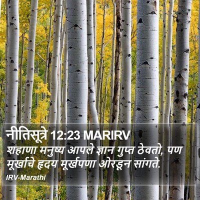 नीतिसूत्रे 12:23 MARIRV Bible Verse Image