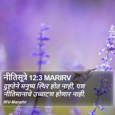 नीतिसूत्रे 12:3 MARIRV Bible Verse Image