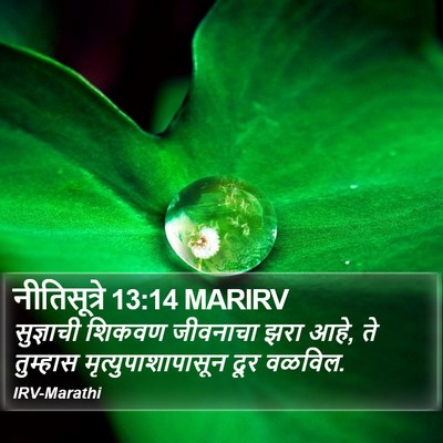 नीतिसूत्रे 13:14 MARIRV Bible Verse Image