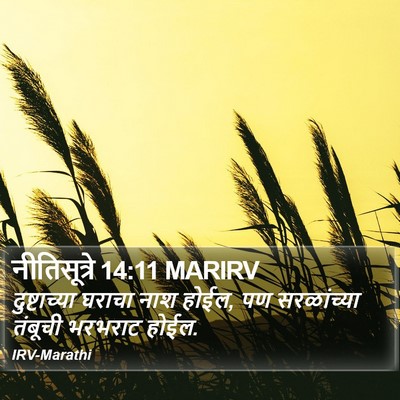 नीतिसूत्रे 14:11 MARIRV Bible Verse Image