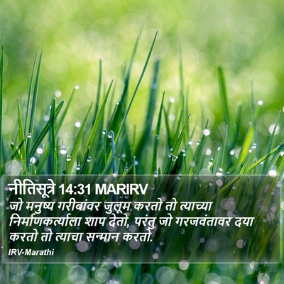 नीतिसूत्रे 14:31 MARIRV Bible Verse Image