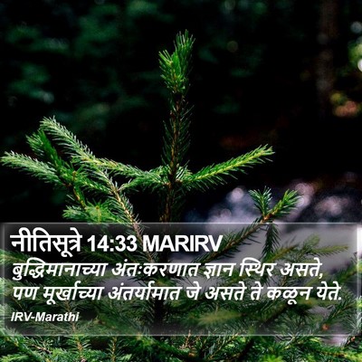 नीतिसूत्रे 14:33 MARIRV Bible Verse Image