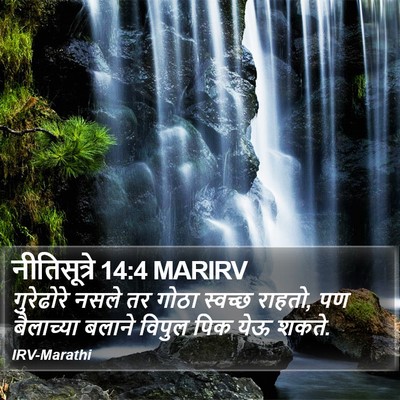 नीतिसूत्रे 14:4 MARIRV Bible Verse Image