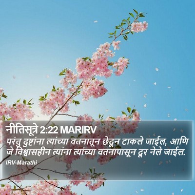 नीतिसूत्रे 2:22 MARIRV Bible Verse Image