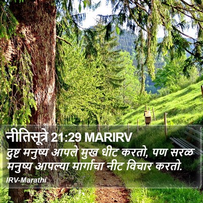 नीतिसूत्रे 21:29 MARIRV Bible Verse Image