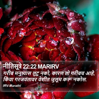 नीतिसूत्रे 22:22 MARIRV Bible Verse Image