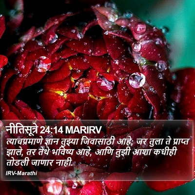 नीतिसूत्रे 24:14 MARIRV Bible Verse Image
