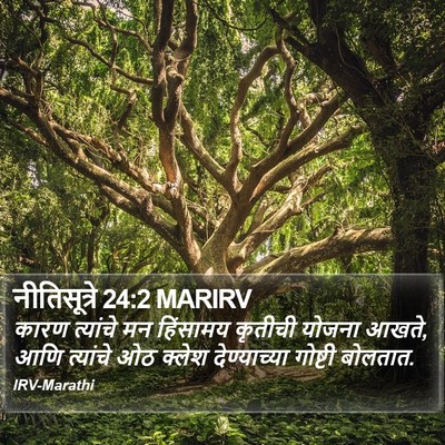नीतिसूत्रे 24:2 MARIRV Bible Verse Image