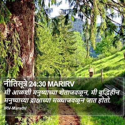 नीतिसूत्रे 24:30 MARIRV Bible Verse Image