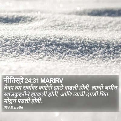 नीतिसूत्रे 24:31 MARIRV Bible Verse Image