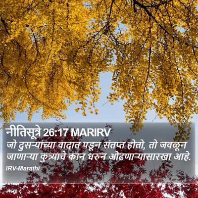 नीतिसूत्रे 26:17 MARIRV Bible Verse Image