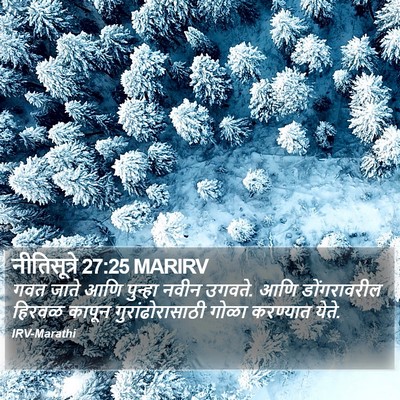 नीतिसूत्रे 27:25 MARIRV Bible Verse Image