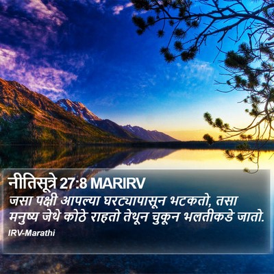 नीतिसूत्रे 27:8 MARIRV Bible Verse Image