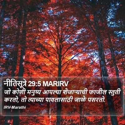 नीतिसूत्रे 29:5 MARIRV Bible Verse Image