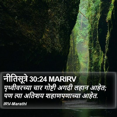 नीतिसूत्रे 30:24 MARIRV Bible Verse Image