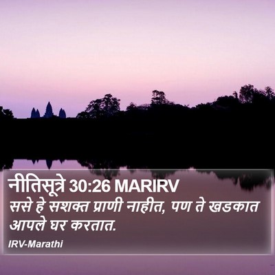 नीतिसूत्रे 30:26 MARIRV Bible Verse Image