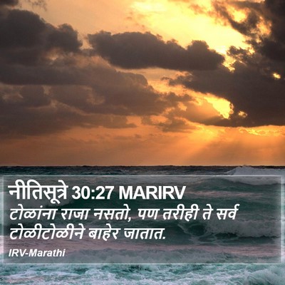 नीतिसूत्रे 30:27 MARIRV Bible Verse Image