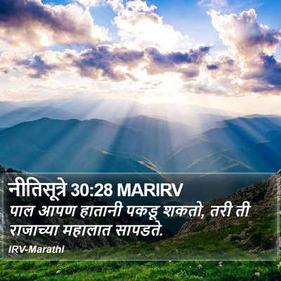 नीतिसूत्रे 30:28 MARIRV Bible Verse Image