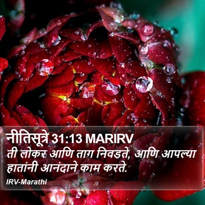 नीतिसूत्रे 31:13 MARIRV Bible Verse Image