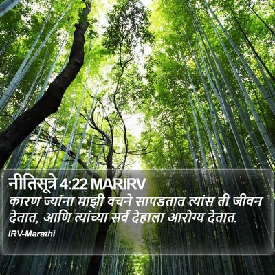 नीतिसूत्रे 4:22 MARIRV Bible Verse Image