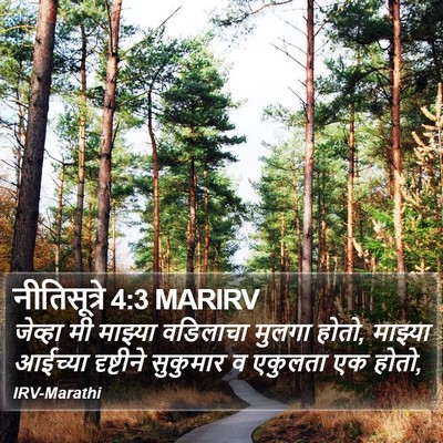 नीतिसूत्रे 4:3 MARIRV Bible Verse Image