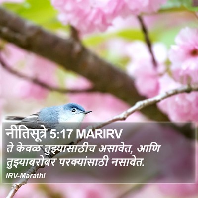 नीतिसूत्रे 5:17 MARIRV Bible Verse Image