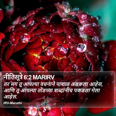 नीतिसूत्रे 6:2 MARIRV Bible Verse Image