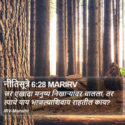 नीतिसूत्रे 6:28 MARIRV Bible Verse Image