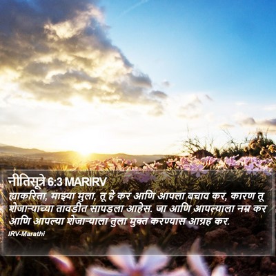 नीतिसूत्रे 6:3 MARIRV Bible Verse Image