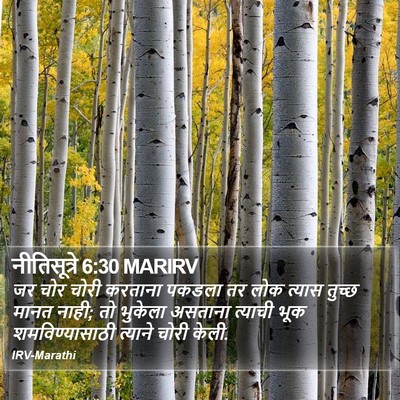 नीतिसूत्रे 6:30 MARIRV Bible Verse Image