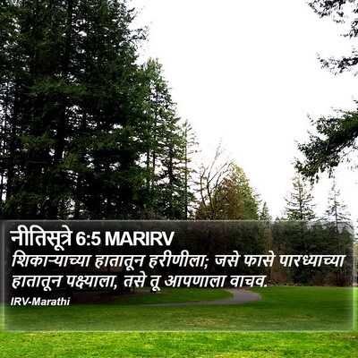 नीतिसूत्रे 6:5 MARIRV Bible Verse Image