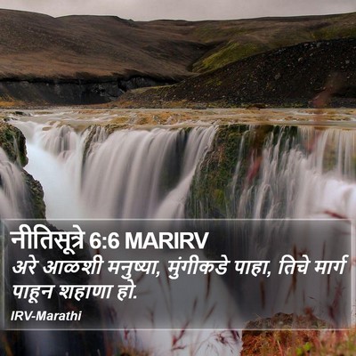 नीतिसूत्रे 6:6 MARIRV Bible Verse Image