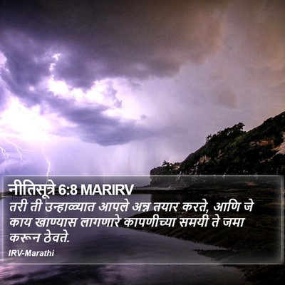 नीतिसूत्रे 6:8 MARIRV Bible Verse Image