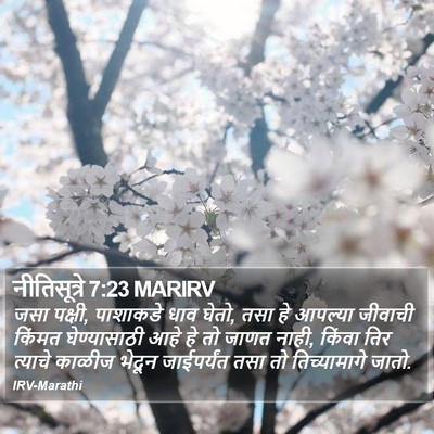 नीतिसूत्रे 7:23 MARIRV Bible Verse Image