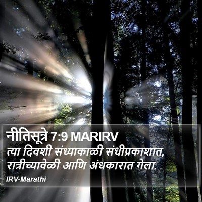 नीतिसूत्रे 7:9 MARIRV Bible Verse Image