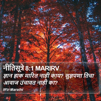 नीतिसूत्रे 8:1 MARIRV Bible Verse Image