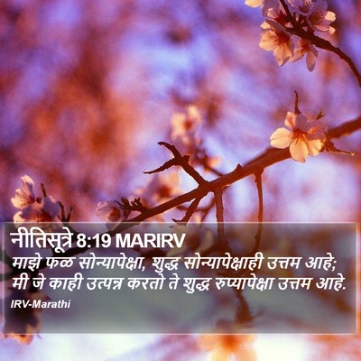 नीतिसूत्रे 8:19 MARIRV Bible Verse Image